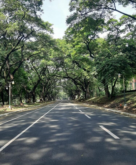 UNIVERSITY OF THE PHILIPPINES ACADEMIC OVAL