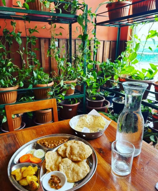 LITTLE INDIA HEALTHY CUISINE